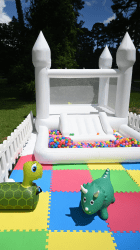 Bounce & Zoom (Level 5)